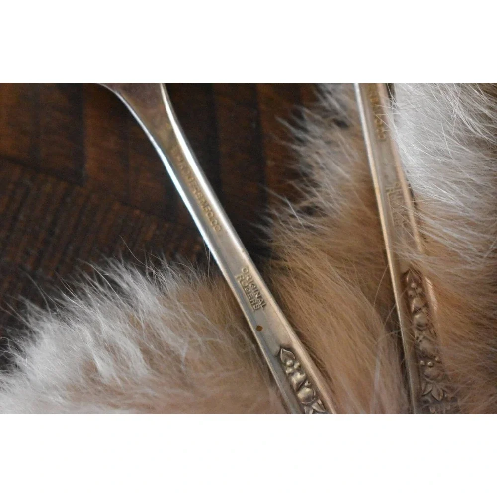 Six WM‎ Rogers Pricilla-ladyann teaspoons Original Rogers silverplate flatware